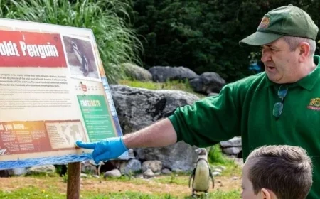 Suspected Bird Flu Outbreak Forces Closure of Fota Wildlife Park