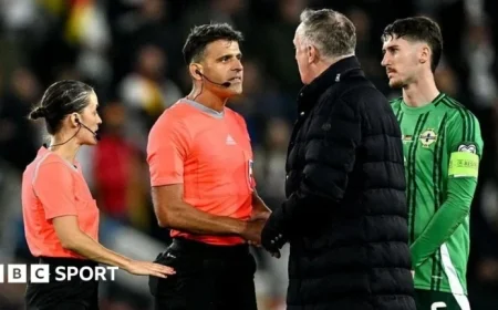 O’Neill Condemns Overly Fussy Referee in Germany’s Defeat