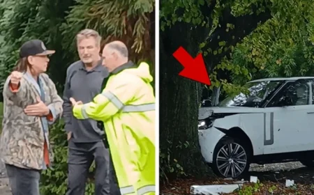 Alec and Stephen Baldwin Miraculously Survive After Crashing Range Rover Into Tree