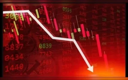 BLS International Shares Plummet 17 Percent Following Two-Year MEA Tender Ban
