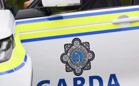 Pro-Palestine Activists Detained Following Occupation of American Weapons Manufacturer Subsidiary in Cork