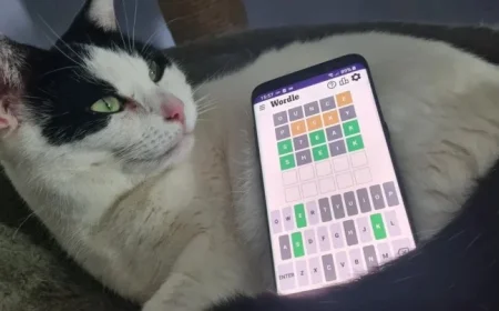 Wordle Tips and Solution for Tuesday October 14