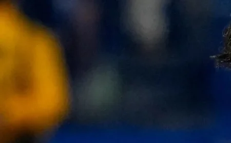 Ao Tanaka Shines in Japan’s Thrilling 3-2 Victory Against Brazil