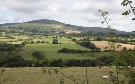 Met Éireann Forecasts a Mostly Dry Week Ahead with Gentle Winds