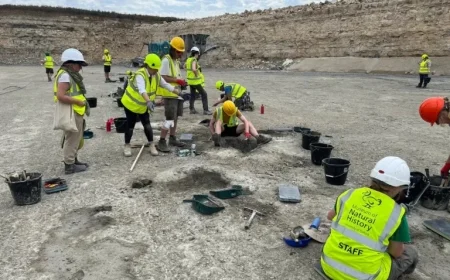 UK Quarry Unearths 166 Million-Year-Old Dinosaur Footprints