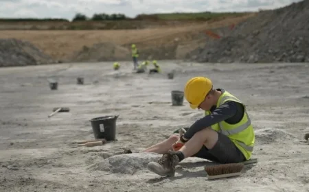 Discover the Unveiling of a Massive Dinosaur Trackway in the UK