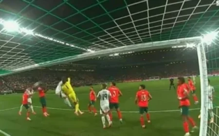 Where to Watch Algeria vs Uganda, Senegal vs Mauritania, and Ivory Coast vs Kenya Live with Broadcast Details