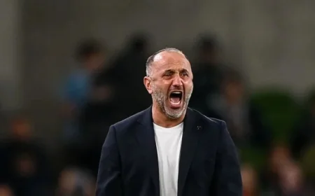 Armenian National Team Head Coach Takes Responsibility for Barseghyan’s Red Card