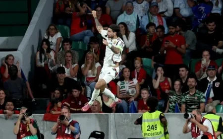 Follow the Live Score Updates of the Portugal vs Hungary Match Here