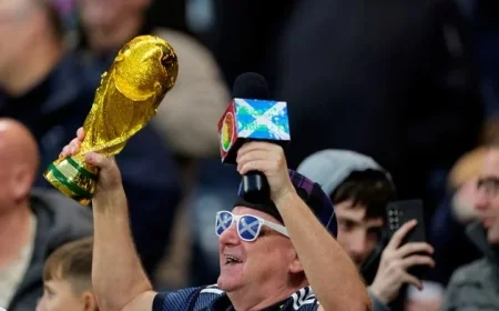 World Cup 2026 Qualification Explained: Which Teams Have Qualified and How the Process Works