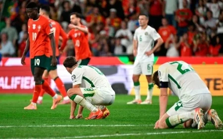 Outrageous Officiating in Portugal Costs Republic of Ireland Crucial Points and Spoils the Game