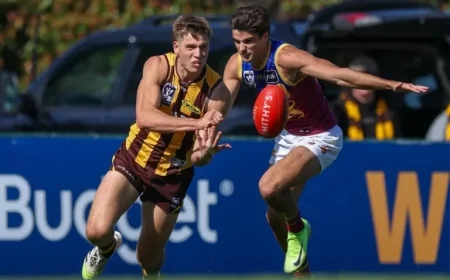 Hawks Defender In High Demand as Swans Secure Key Signing