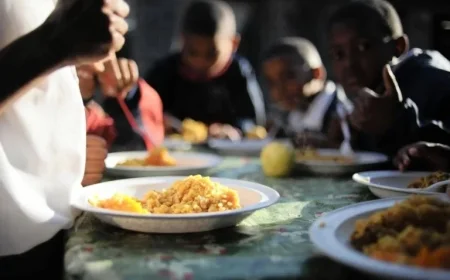Alleged Corruption by Gauteng School Meal Suppliers Puts Students at Risk of Hunger