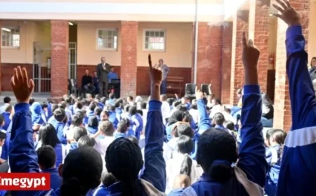 Unpaid Security Companies Jeopardize Safety at Gauteng Schools