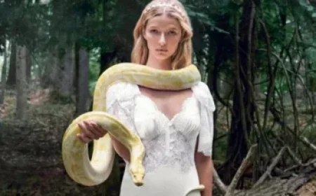 Why Steven Gerrard Declined Rangers Return and Potential Successors for Russell Martin as Head Coach