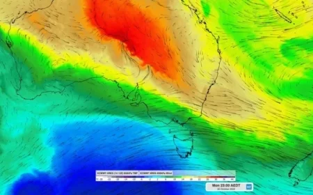 Sydney poised to break records with its hottest October yet