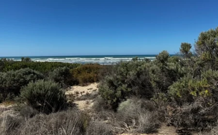 Adelaide Weather Update for Wednesday October 15th and Upcoming Days Forecast