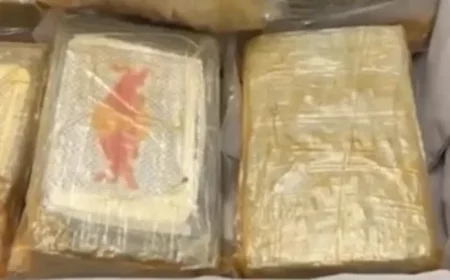Unexpected $13 Million Discovery Inside Suitcases