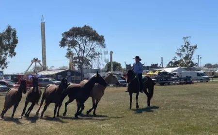 Guy McLean Delivers Spectacular Performance at Royal Geelong Show