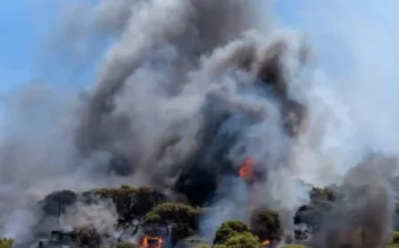 TWICE Celebrates 10th Anniversary with Global Release of One in a Million Documentary Film