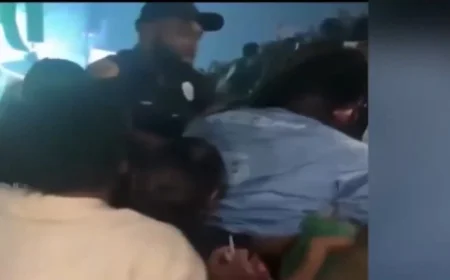 Law Enforcement Tumbles Down Rows of Seats Amid Kaseya Center Concert Arrest