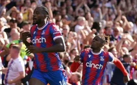 Wilfried Zaha Criticizes Jean-Philippe Mateta’s Comments on Rejecting France Ambitions at Crystal Palace