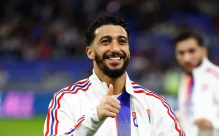 Ex-West Ham Star Said Benrahma Fined for Dangerous Dogs Incident