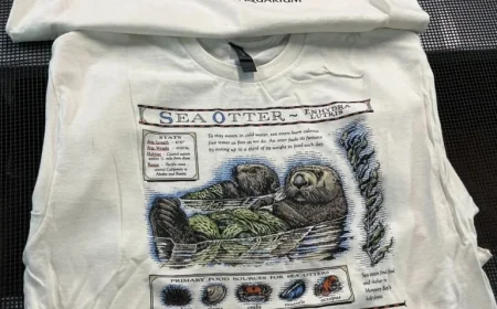 Maine company revives vintage Taylor Swift T-shirt from iconic Showgirl film