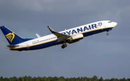 €20k Loan from Hutch Clan and Shocking Attack Video Reveal Explosive Turn in Dowdall Case