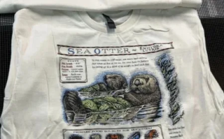 Top Private Weather Firm Reveals Winter Forecast for the Northeast