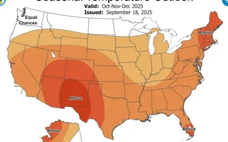 Discover When Cold Weather Returns to Florida with AccuWeather NWS Almanac Winter Forecasts