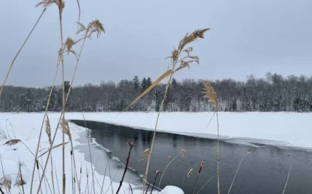 NOAA Forecasts Snowy Winter Ahead for Minnesota and Wisconsin