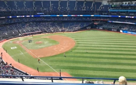 Blue Jays’ World Series Quest Ignites Baseball Frenzy: Are They Truly Canada’s Team?