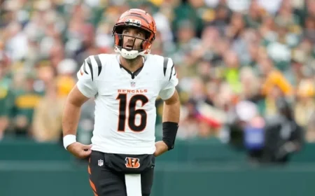 AFC Highlights: Key Updates on Andrew Berry, Joe Flacco, Mike Tomlin, and AFC North Teams Bengals, Browns, and Steelers