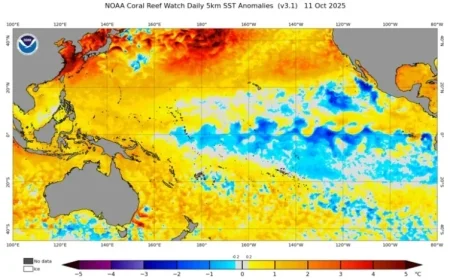 US Climate Prediction Center Announces La Niña Impact on Australia Explained