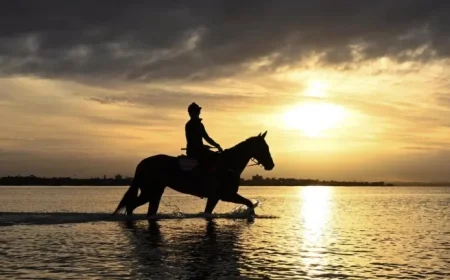 Caulfield Cup Form Guide: Expert Ratings for Every Runner and Why the Top Local Star Can Outshine International Competitors