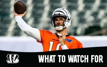 Steelers vs Bengals Week 7 Key Highlights and Must-Watch Moments