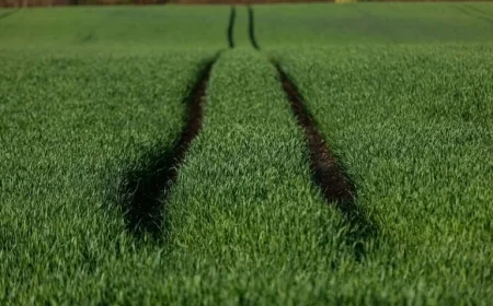 Canada Singapore and UK Lead in Climate Change Preparedness BloombergNEF Report Reveals Top Adaptation Rankings