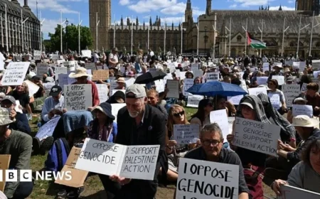 Palestine Action Ban Appeal Proceeds as Government Loses Block Attempt