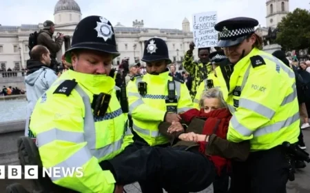 Government Loses Attempt to Prevent Appeal on Palestine Action Ban