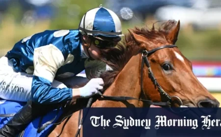 Everest 2025: Comprehensive Race-by-Race Preview and Expert Tips for Randwick Saturday