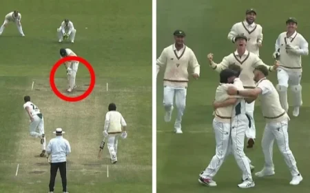 Epic Finish Sees Tassies Snatch Thrilling Three-Run Victory in Shield Classic