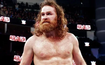 WWE Icon Makes Stunning Comeback After 403 Days to Overthrow Sami Zayn