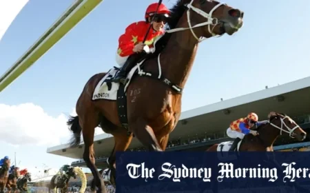 Concerns Over Racing NSW Behavior at Rosehill Inquiry Spark ‘Chilling Effect’ Debate