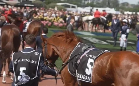 Vauban Poised for Victory in Upcoming Cup Race