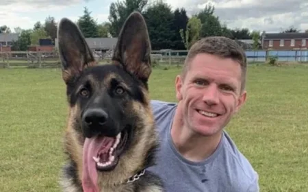 Complainant in Boston Rape Trial Testifies Waking Up to Stranger Assault