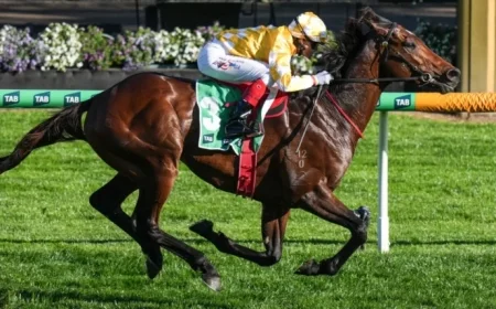 Melbourne Cup and Cox Plate Favorite Withdrawn from Spring Carnival Sparking Disappointment