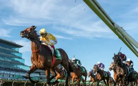 Melbourne Cup Favorite Withdrawn from Flemington Showpiece After Failing Vet Check