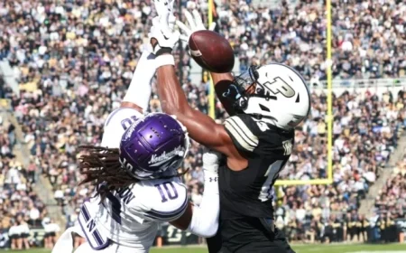 Engaging Q&A Session with Andrew Ledman from Hammer and Rails Discovering Perspectives from the Opposing Side