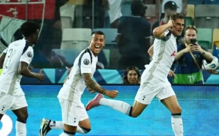 Kolo Muani and Solanke Fitness Update for Gameweek 8